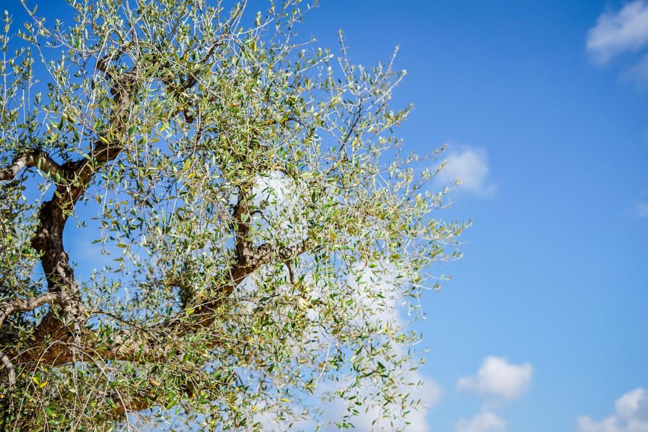 Quattroperle Trulli - Relax - Puglia * Castellana Grotte